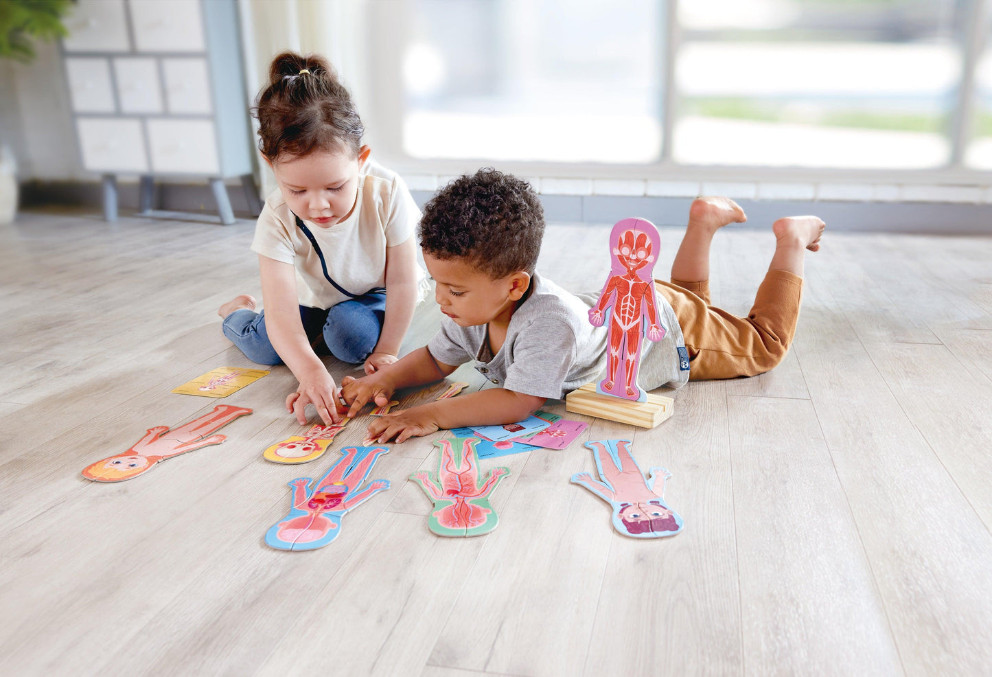 Puzzle magnétique du corps humain